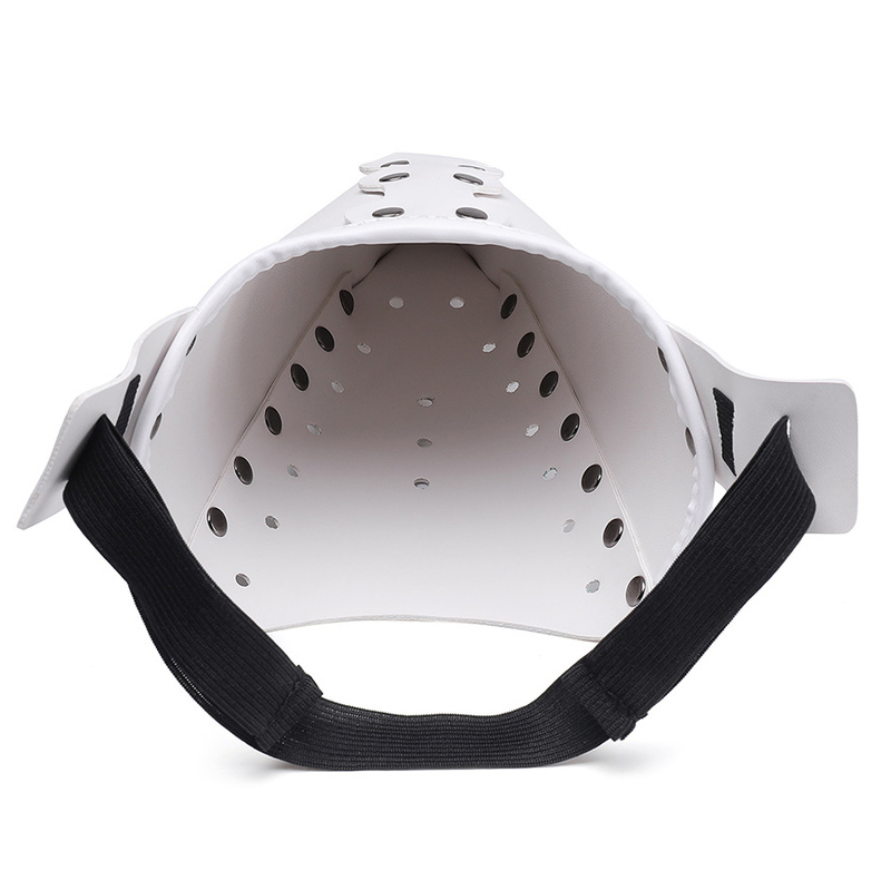 (image for) Steampunk Plague Doctor Bird Mouth Mask