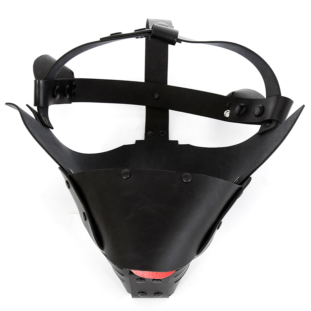 (image for) Detachable Dog Hoods