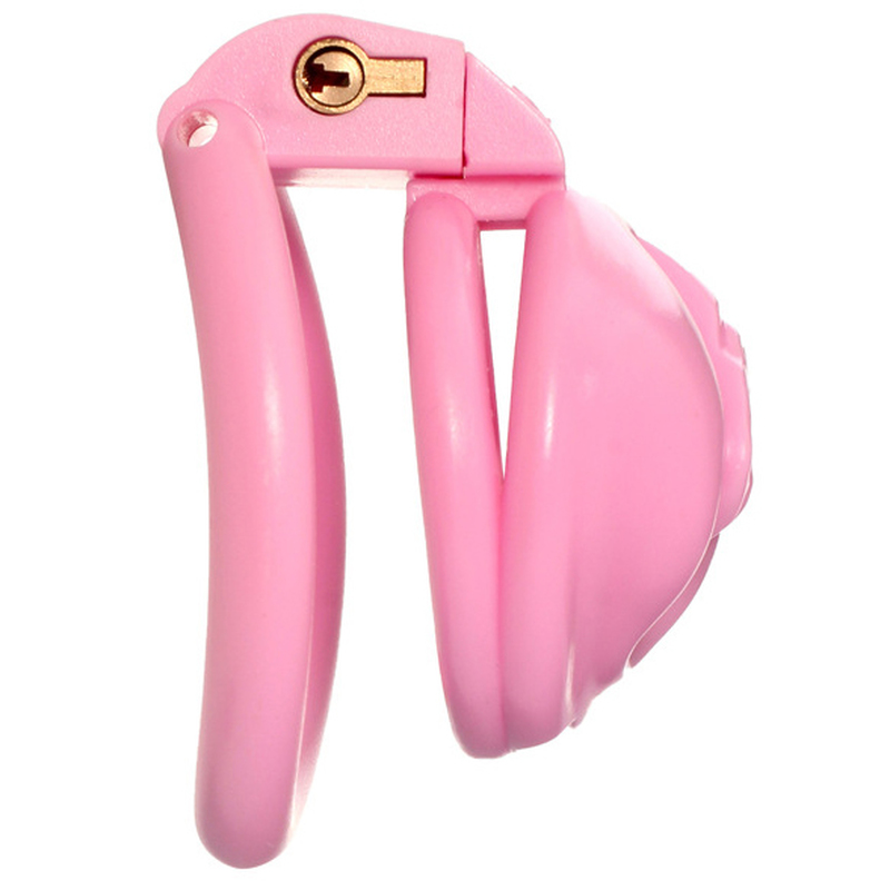 (image for) Labia Chastity Cage