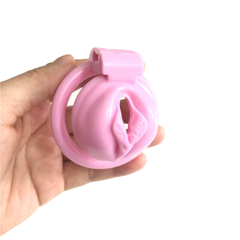 (image for) Labia Chastity Cage