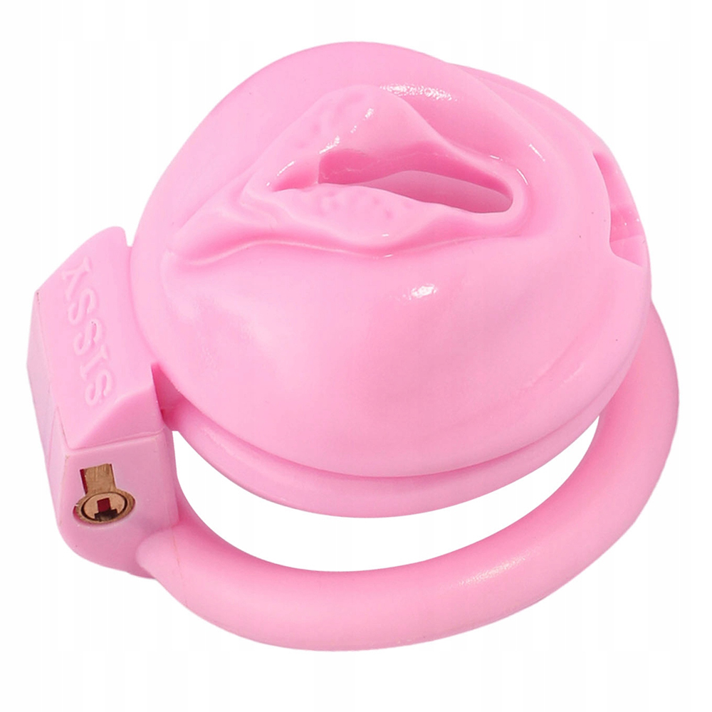 (image for) Labia Chastity Cage