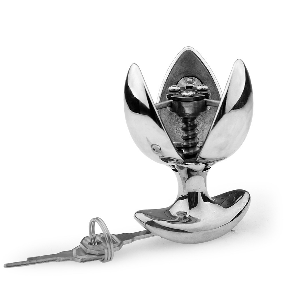 (image for) Luxury Heavy Anal Expander Trainer