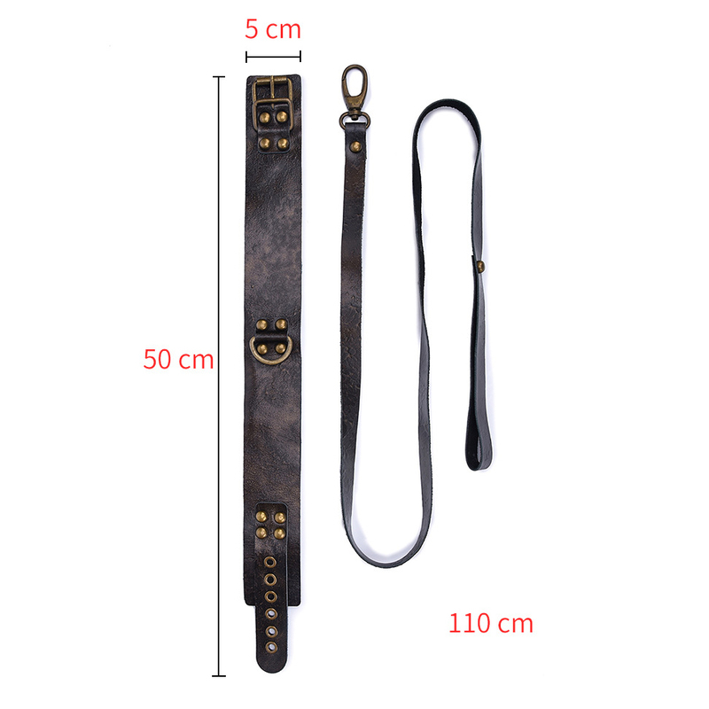 (image for) Vintage Style Collar with Leash
