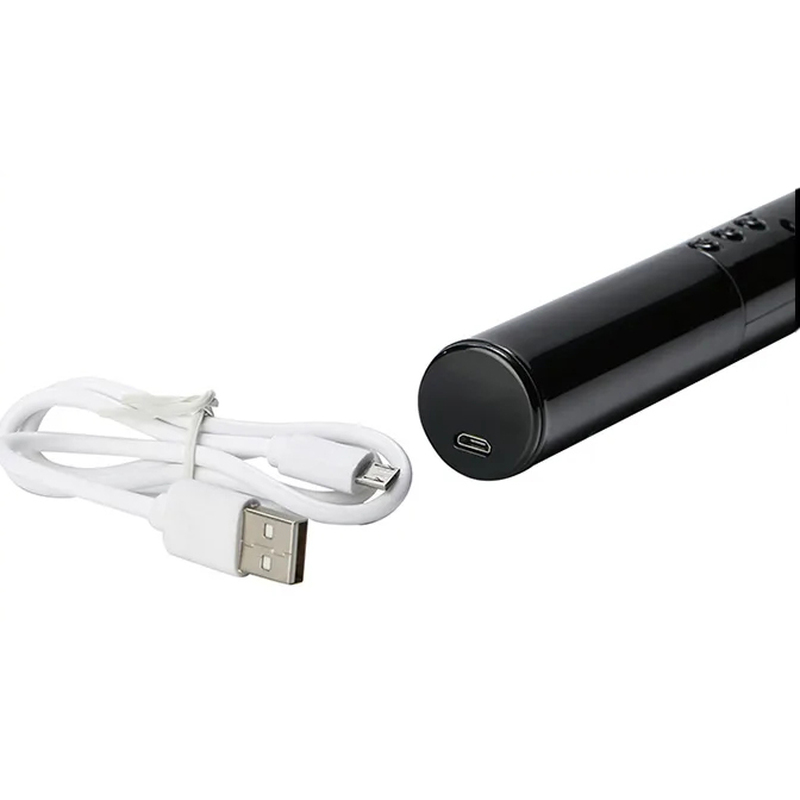 (image for) Passionate Electric Pulse Baton