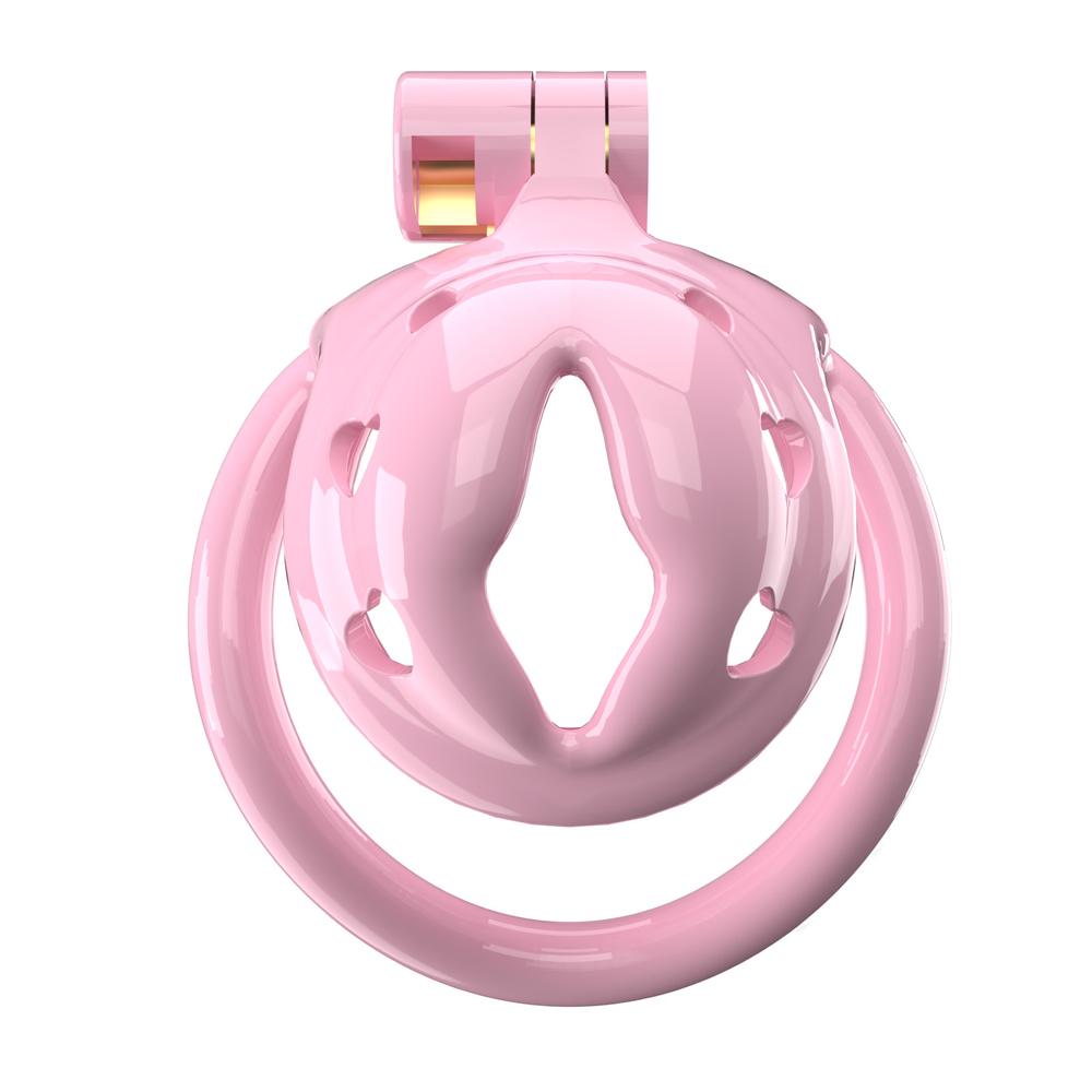 (image for) Small WX-1 Sissy Chastity Cage With 5 Arc Rings