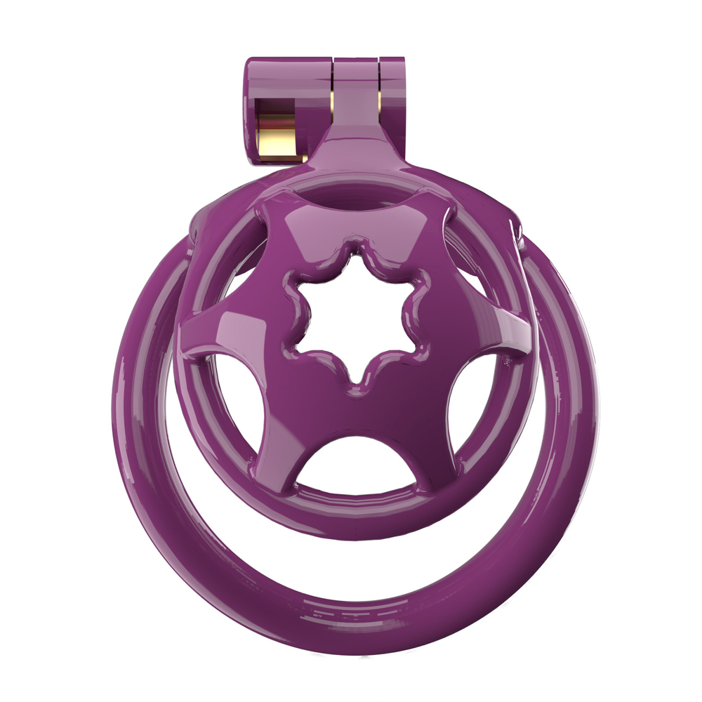 (image for) Small WX-2 Sissy Chastity Cage With 5 Arc Rings