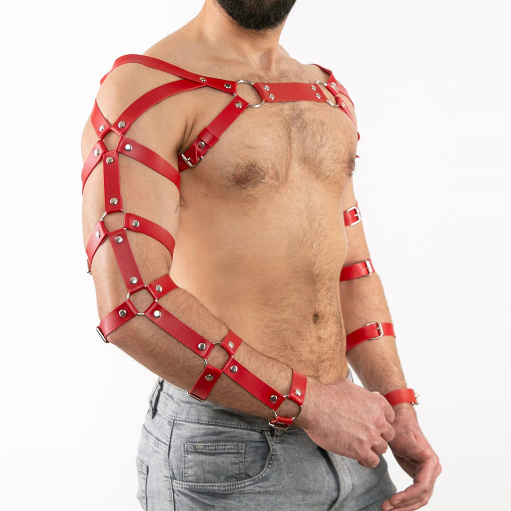 (image for) Arm and Shoulder Restraints Harness