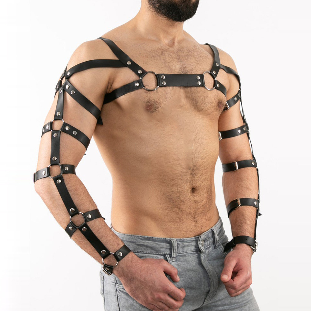 (image for) Arm and Shoulder Restraints Harness
