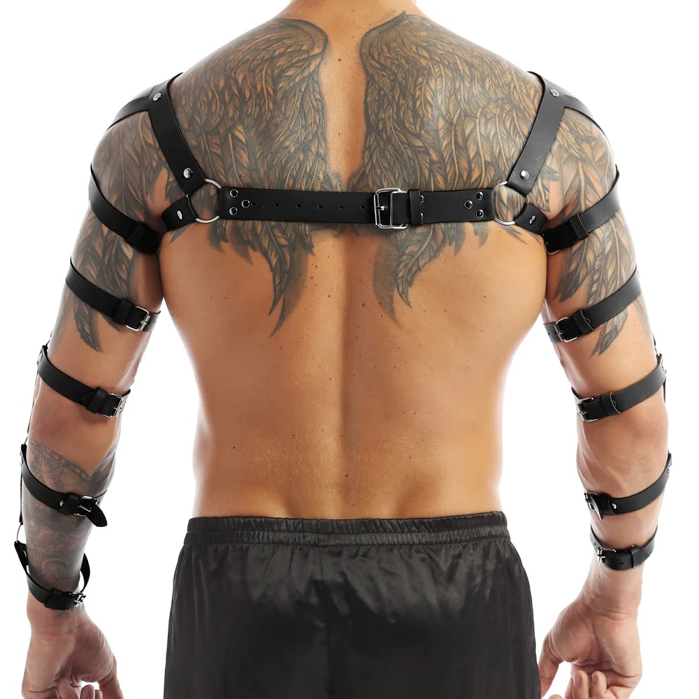 (image for) Arm and Shoulder Restraints Harness