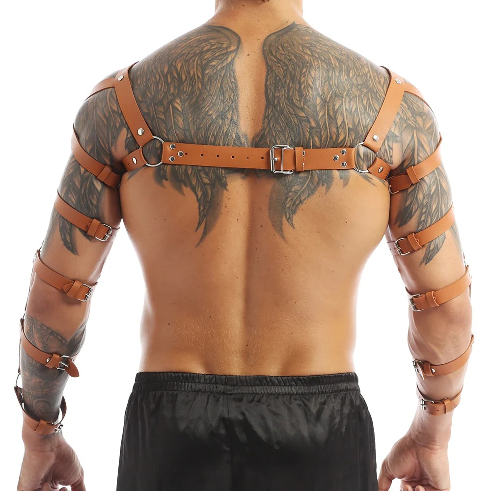 (image for) Arm and Shoulder Restraints Harness