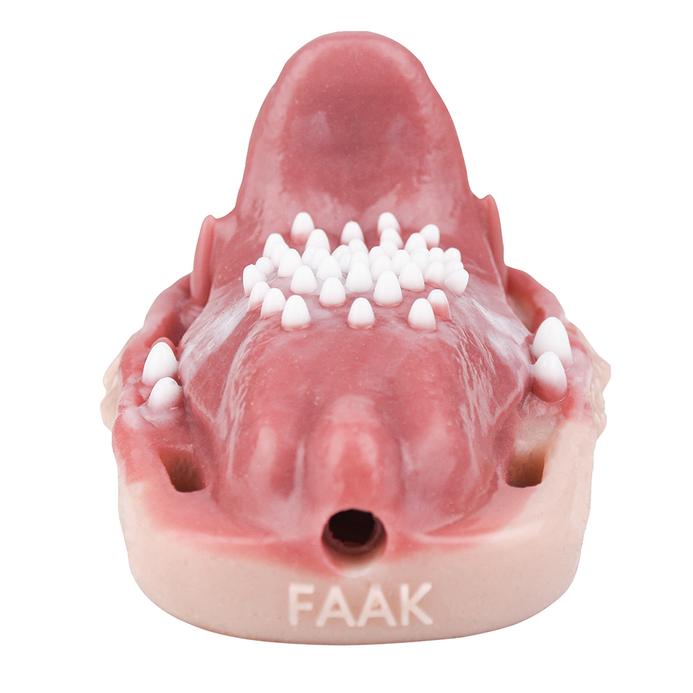 (image for) Fantasy Tongue Grinding Vibrator