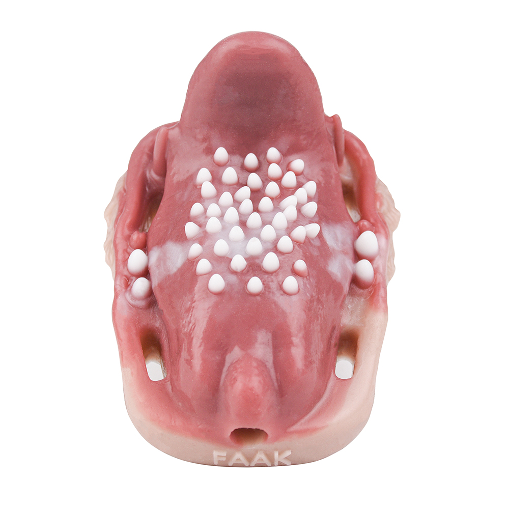 (image for) Fantasy Tongue Grinding Vibrator