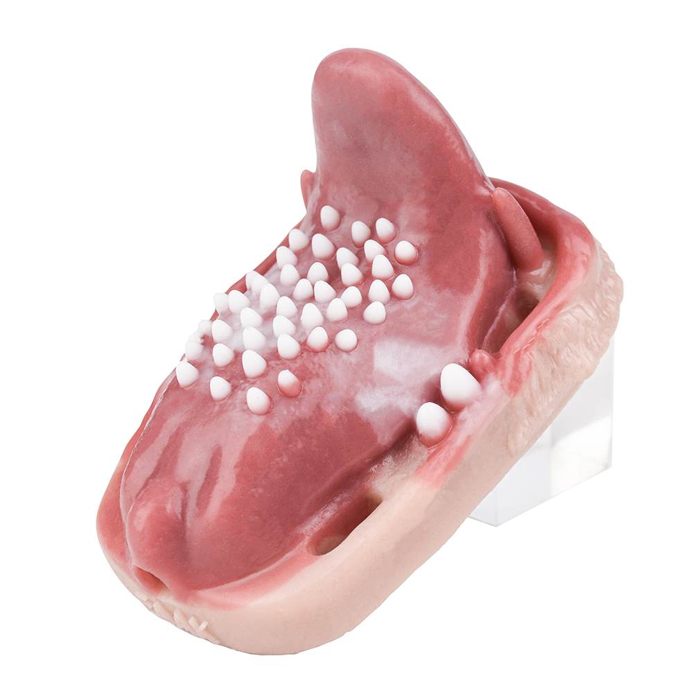 (image for) Fantasy Tongue Grinding Vibrator