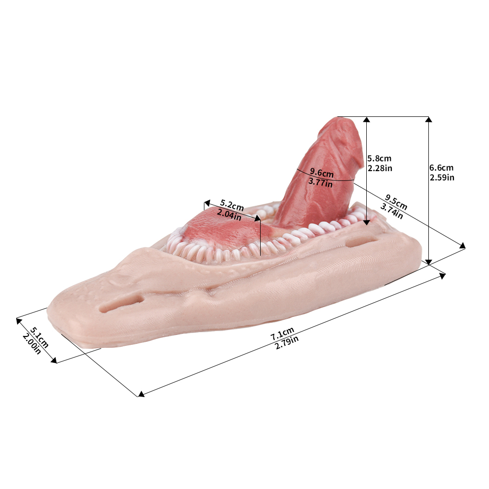 (image for) Strap On Dildo Sex Grinder with Teeth