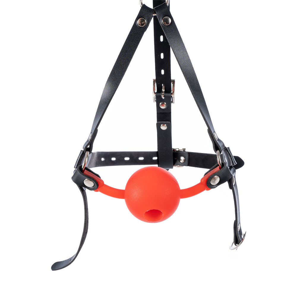 (image for) Silicone Hollow Mouth Gag With Harness