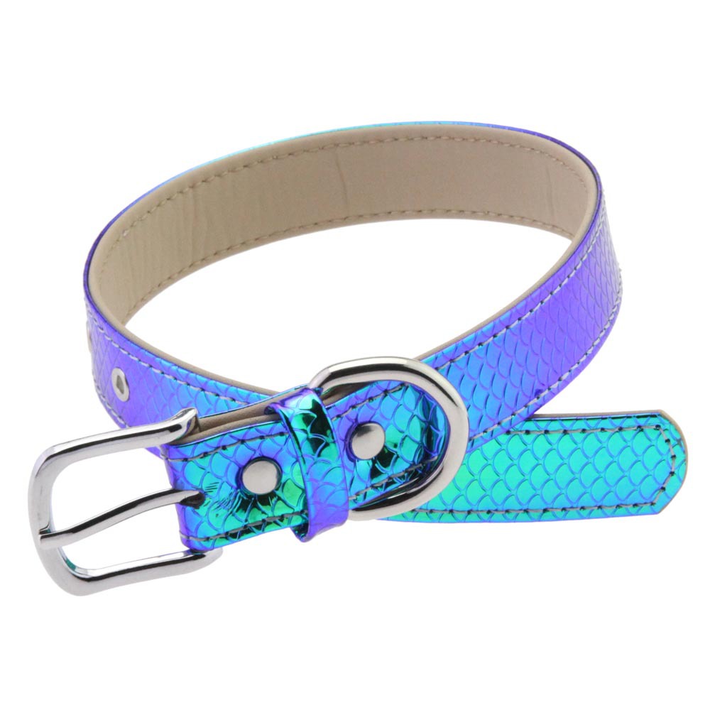 (image for) Magic Laser Fish Scale Punk Collar