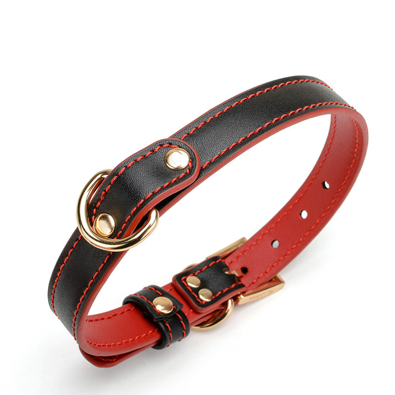 (image for) Double Layer Collar and Leash