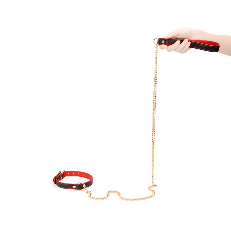 (image for) Double Layer Collar and Leash