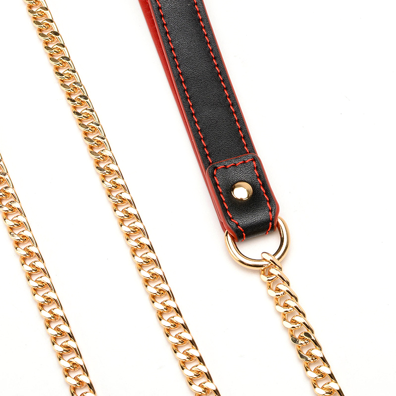 (image for) Double Layer Collar and Leash