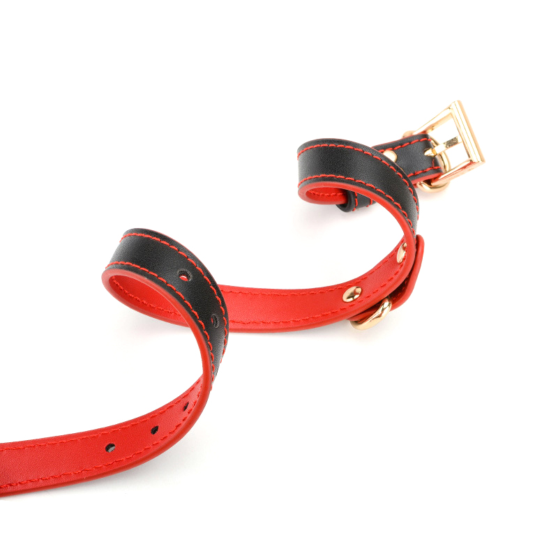 (image for) Double Layer Collar and Leash