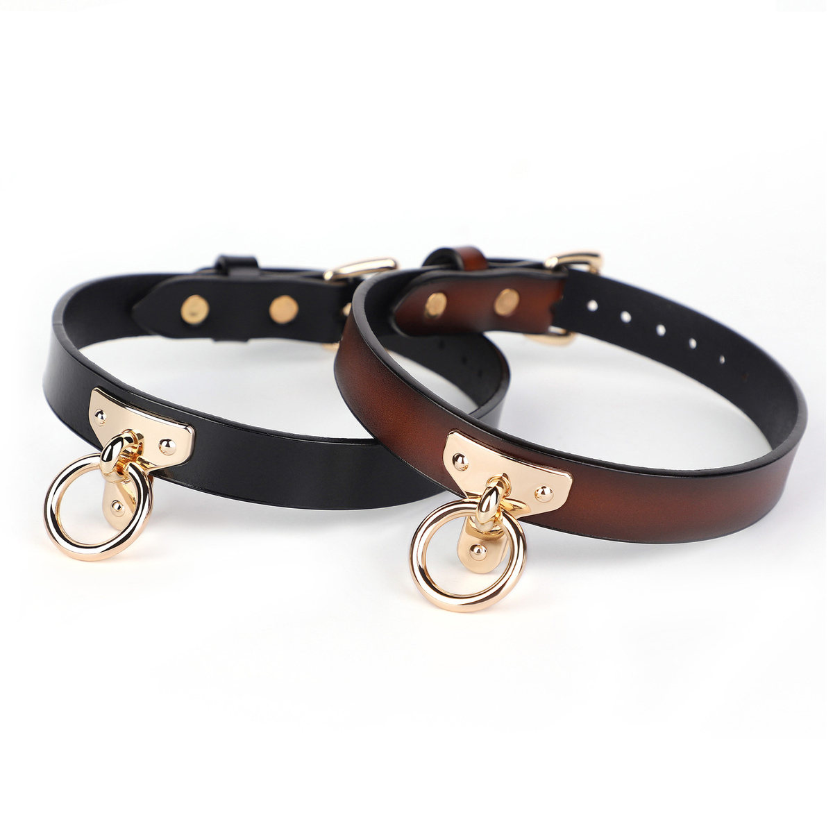 (image for) T Ring Neck Collar With Leash