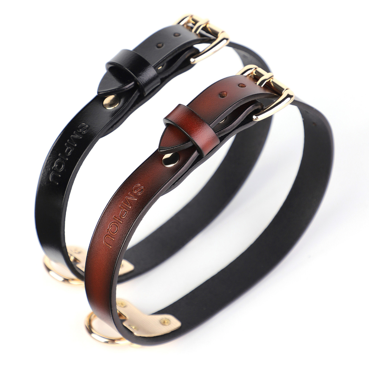 (image for) T Ring Neck Collar With Leash