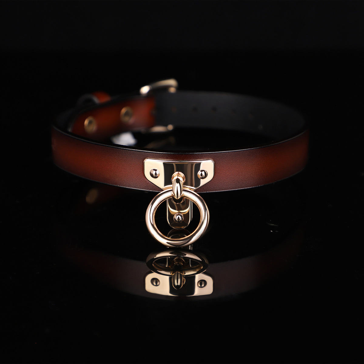 (image for) T Ring Neck Collar With Leash