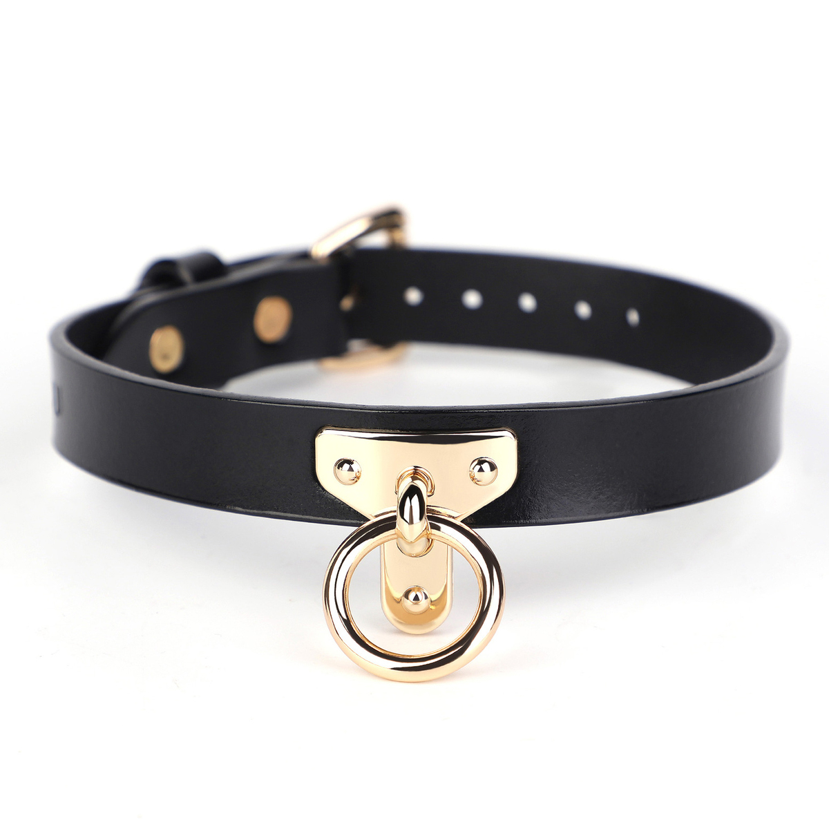 (image for) T Ring Neck Collar With Leash