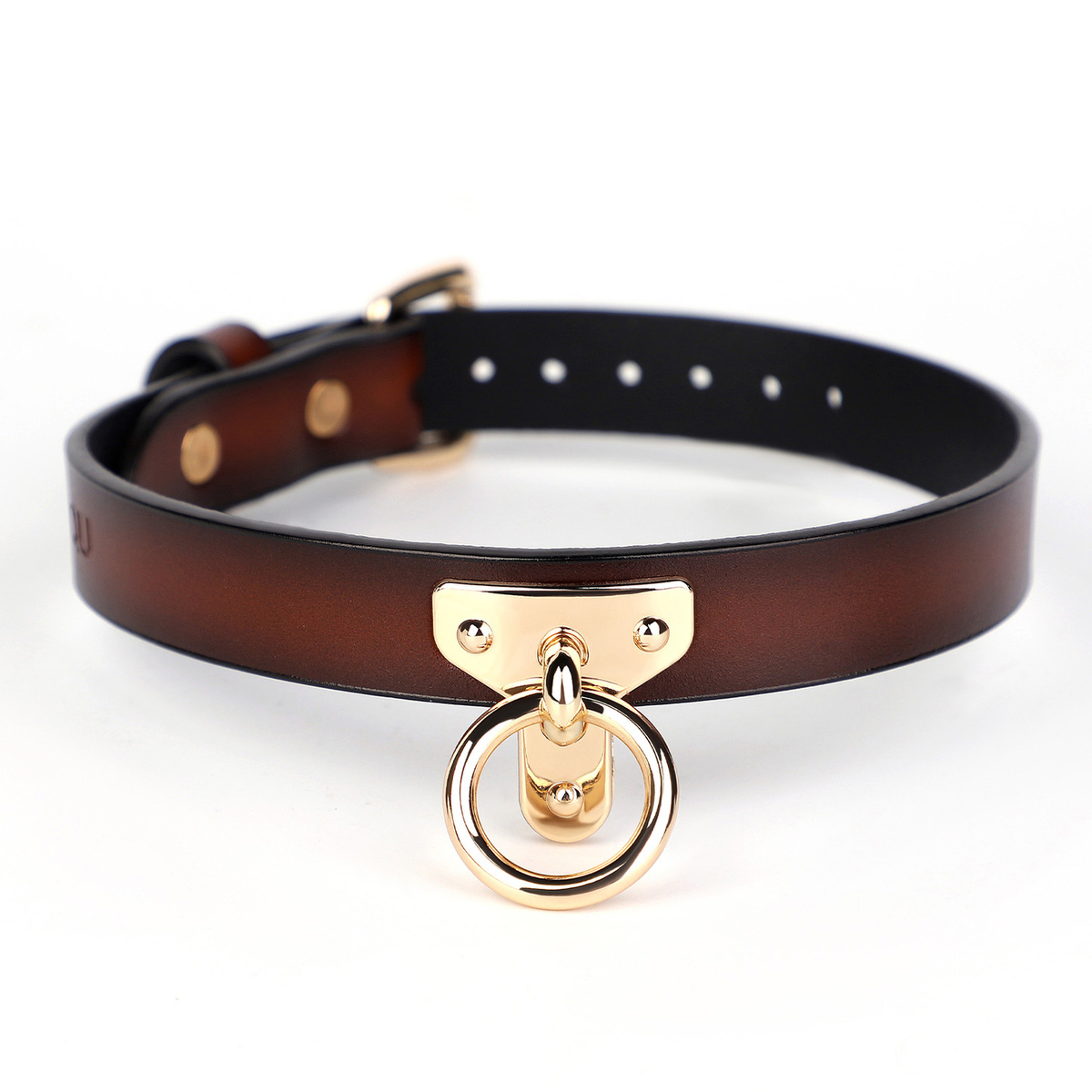 (image for) T Ring Neck Collar With Leash