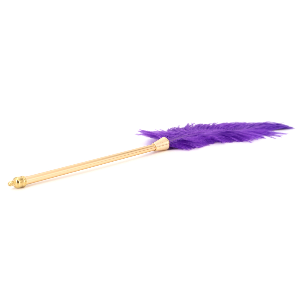 (image for) Flirting Feather Stick