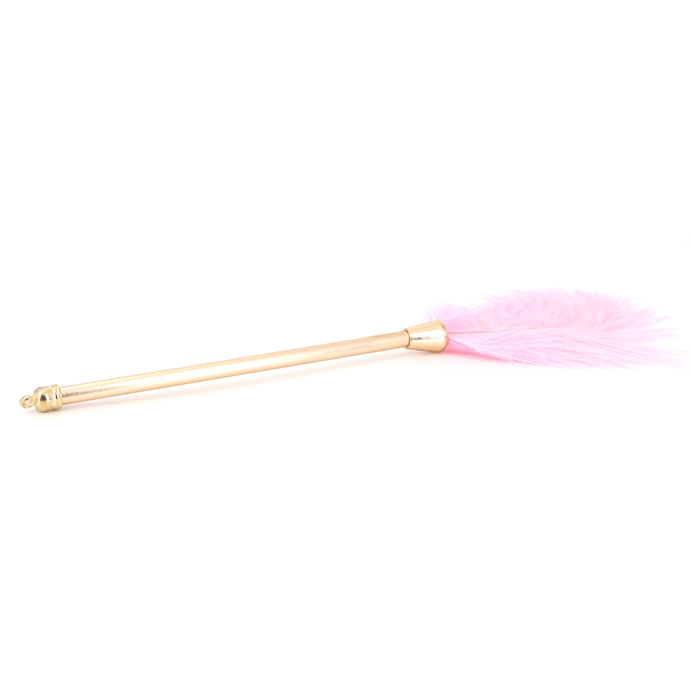 (image for) Flirting Feather Stick