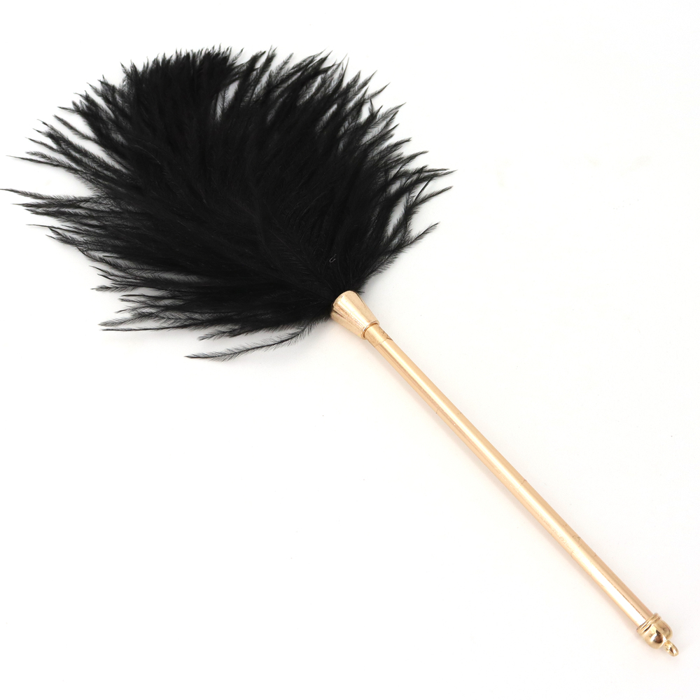(image for) Flirting Feather Stick