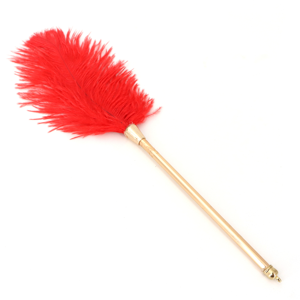 (image for) Flirting Feather Stick