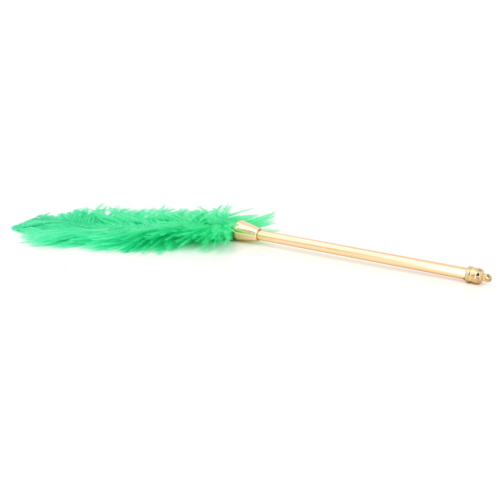 (image for) Flirting Feather Stick