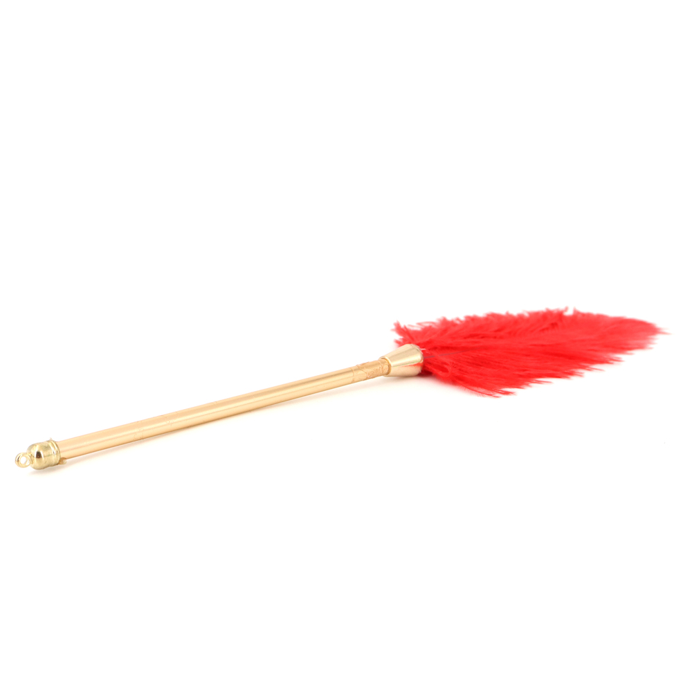 (image for) Flirting Feather Stick