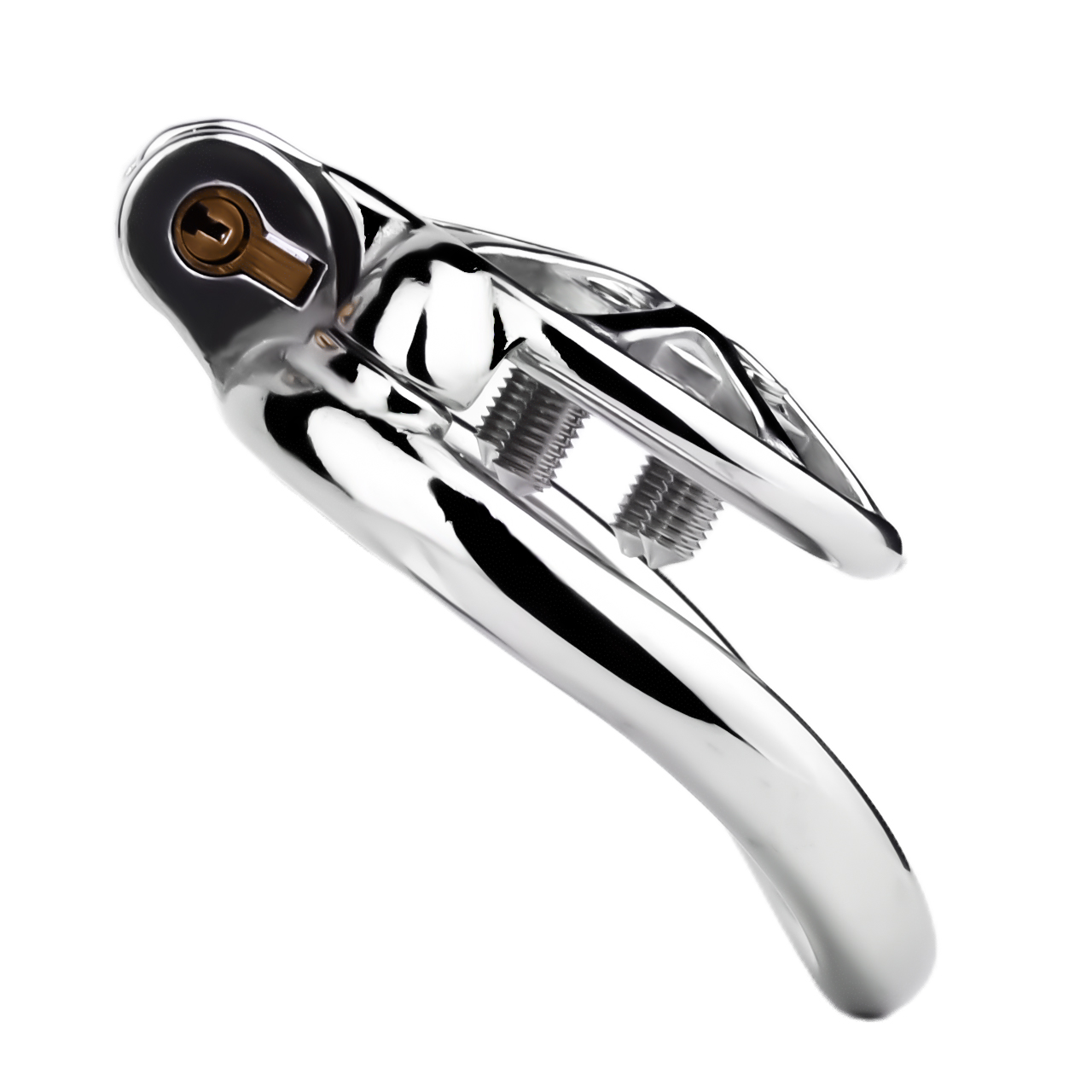 Spike Chastity Cage