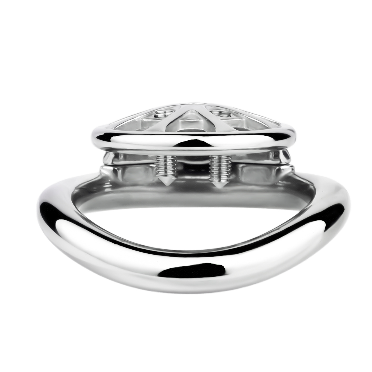 (image for) Spike Chastity Cage