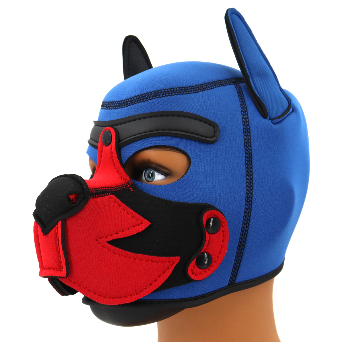Blue Puppy Hood
