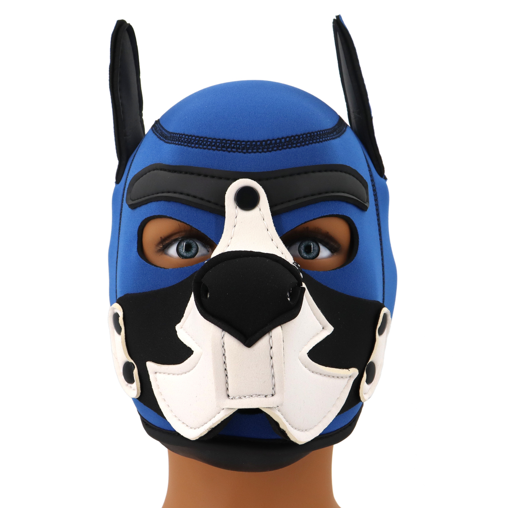 Blue Puppy Hood