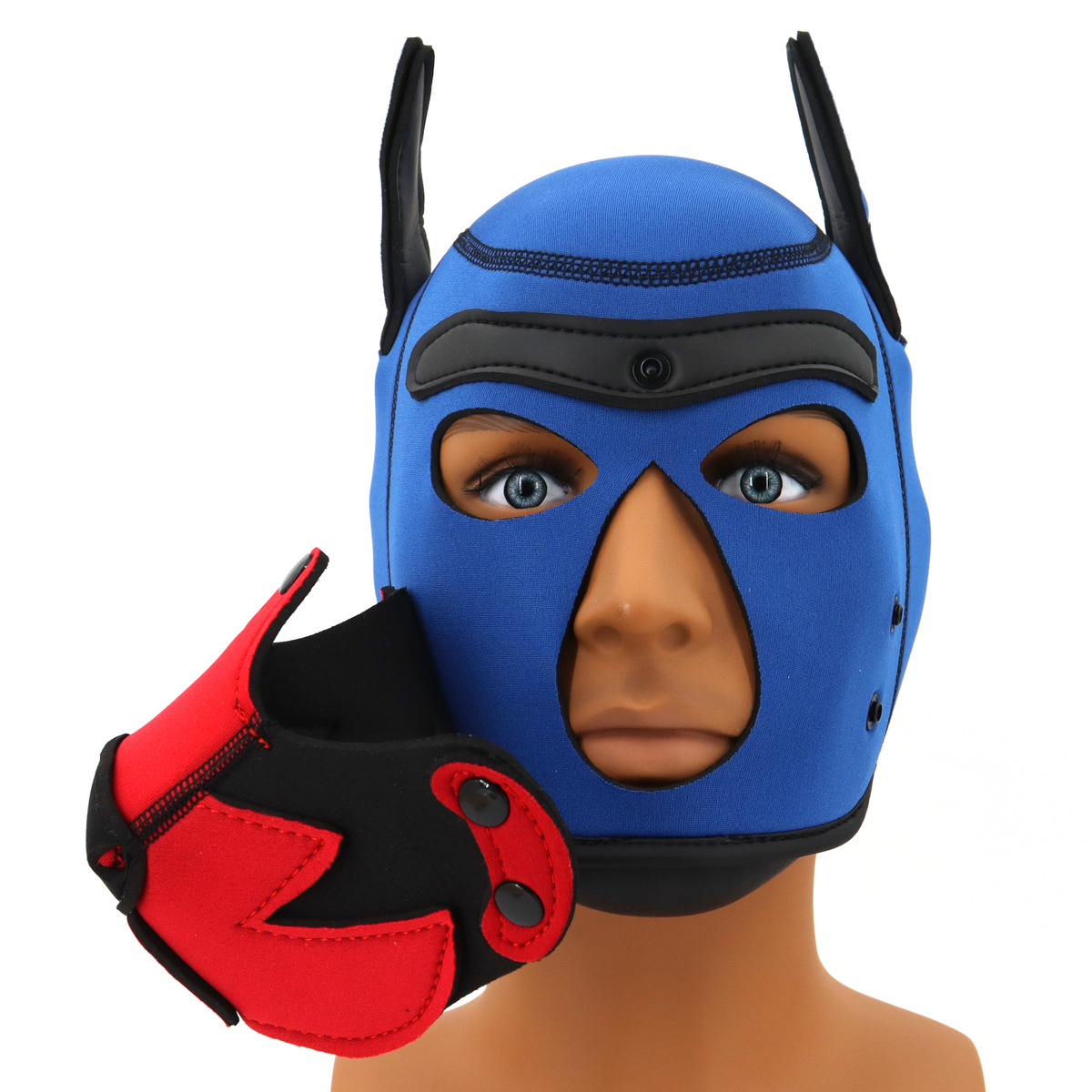 (image for) Blue Puppy Hood
