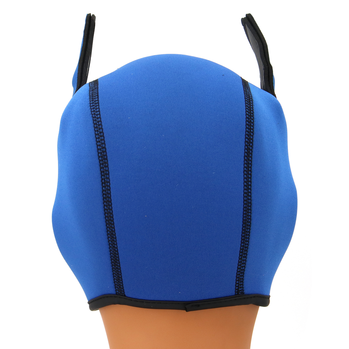 (image for) Blue Puppy Hood