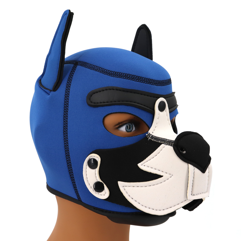 (image for) Blue Puppy Hood