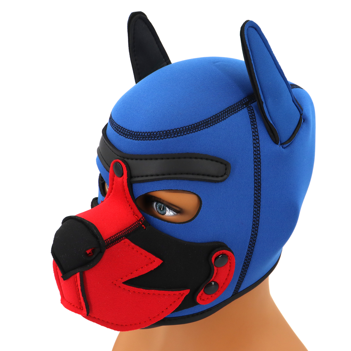 (image for) Blue Puppy Hood