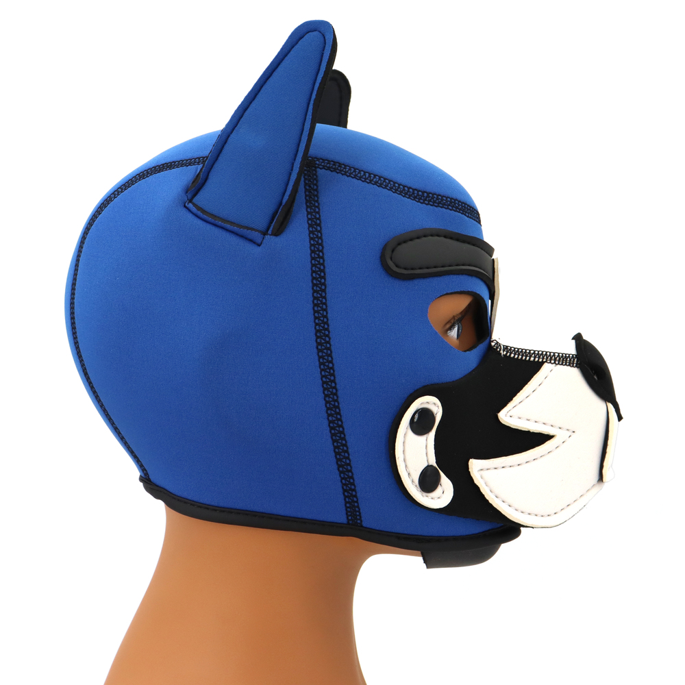 (image for) Blue Puppy Hood
