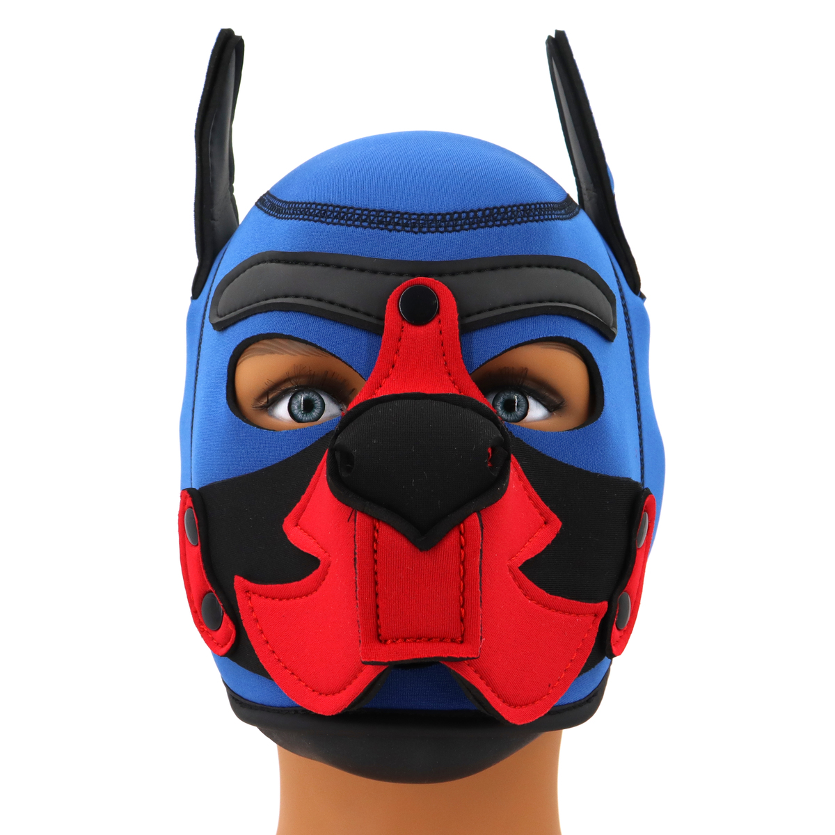 (image for) Blue Puppy Hood