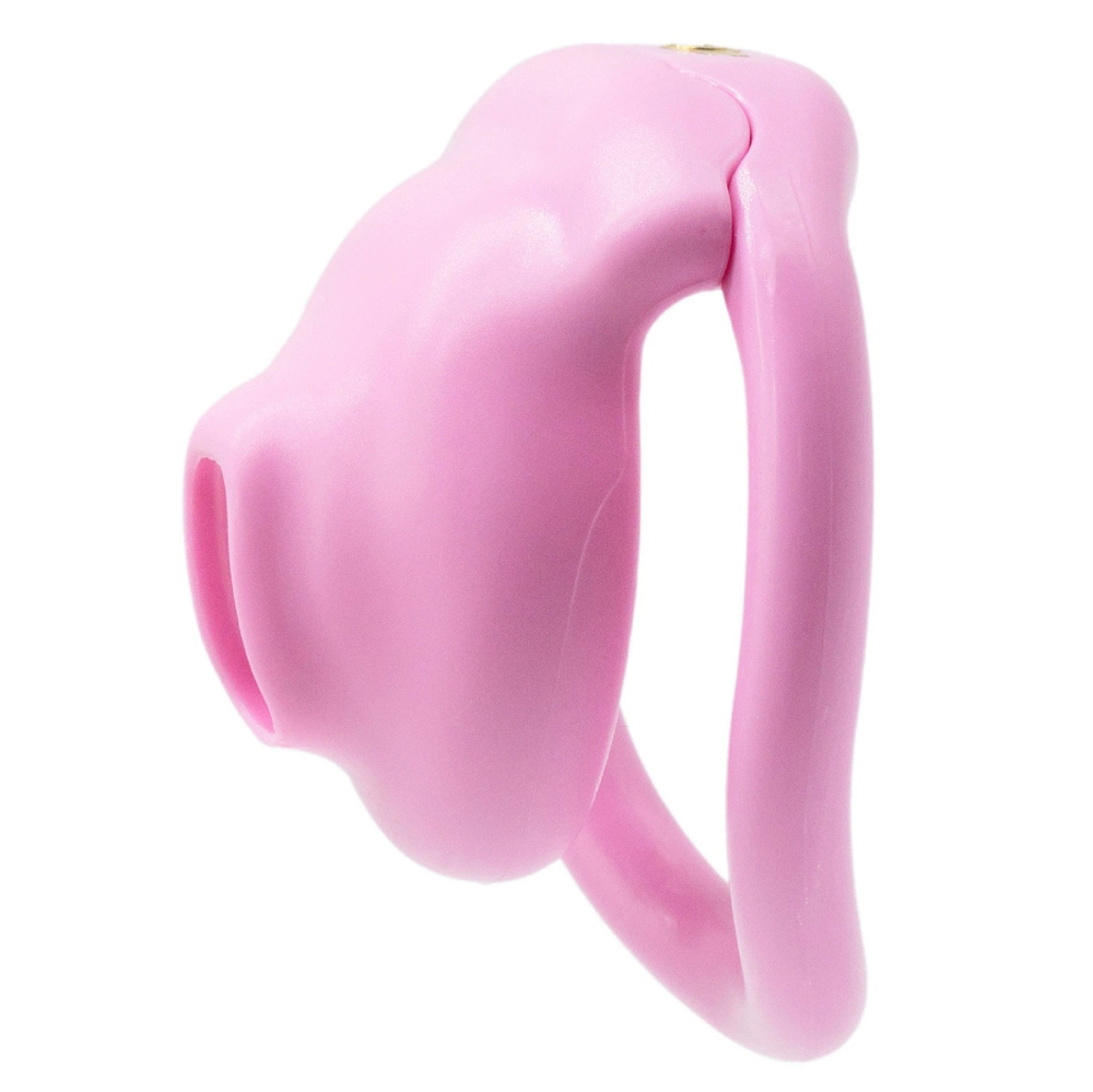 (image for) Super Little Bird Chastity Cage