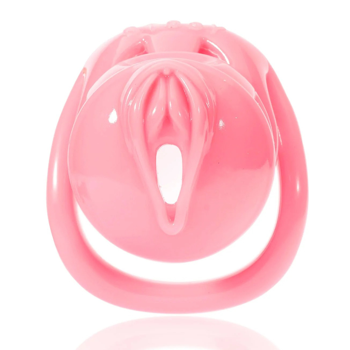 (image for) Embedded Sissy Chastity Cage