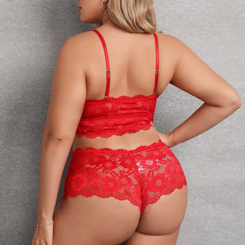 (image for) Plus Size Lace Bra And Panty For Ladies