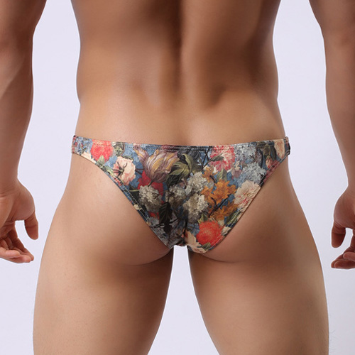 (image for) Vintage Floral Hip Brief Sexy Underwear