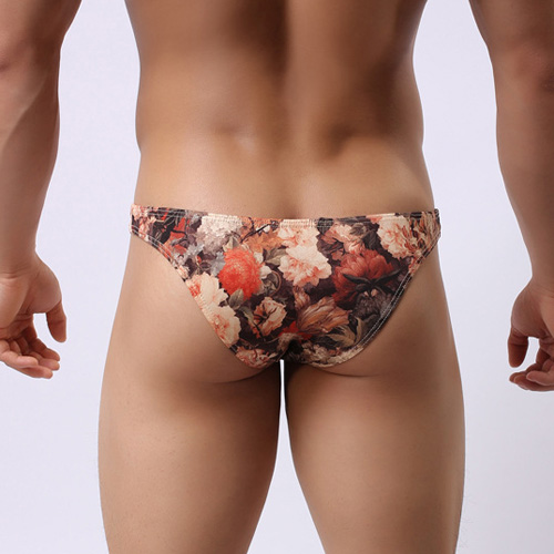 (image for) Vintage Floral Hip Brief Sexy Underwear